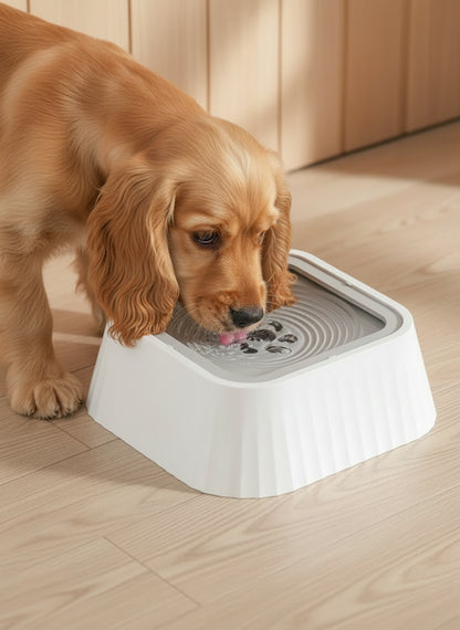 Essential AntiSplash Pet Bowl